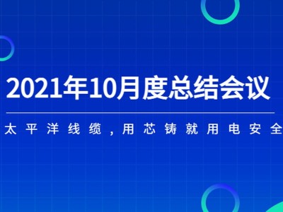 河南太平洋線(xiàn)纜月度總結會(huì )議