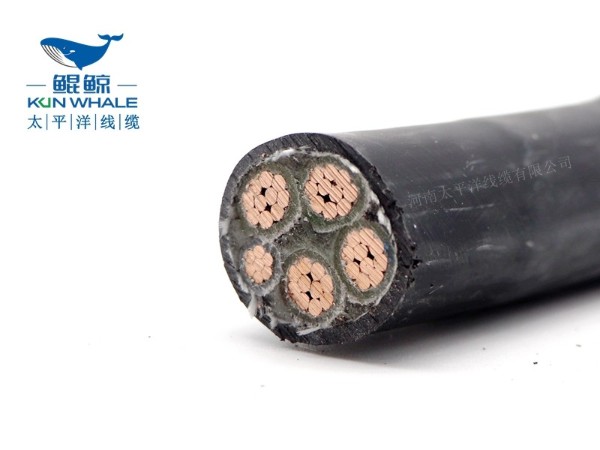 低煙無(wú)鹵電纜應用在哪些場(chǎng)所你知道嗎？
