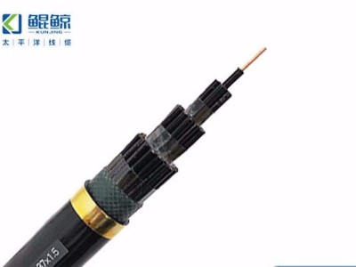 電線(xiàn)電纜廠(chǎng)家教你區分控制電纜、電力電纜及動(dòng)力電纜