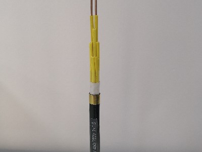 電線(xiàn)電纜廠(chǎng)家介紹kvv多芯控制電纜