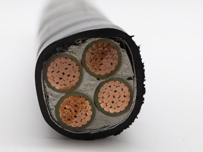 YJV22低壓電力電纜PVC絕緣和護套需要進(jìn)行哪些試驗？