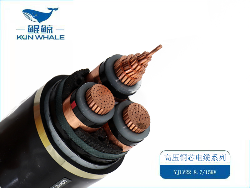 電線(xiàn)電纜廠(chǎng)家
