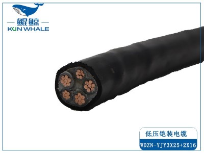 采用線(xiàn)纜標準時(shí)如何選擇電纜？需要注意什么問(wèn)題？