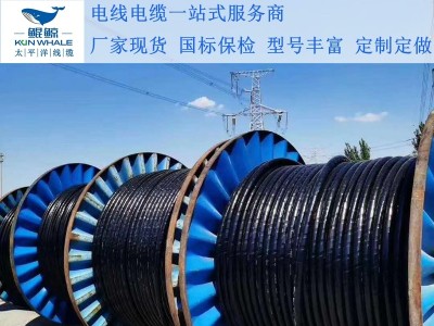 鄭州電纜廠(chǎng)淺談電纜著(zhù)火怎么辦呢？撲救辦法在這里