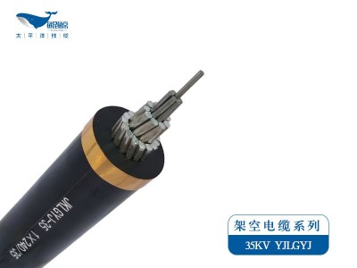 架空電纜系列JKLYJ，JKLGYJ 0.6/1KV