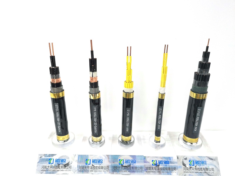 鄭州電纜廠(chǎng)淺談?dòng)嬎銠C電纜與控制電纜有什么不同？