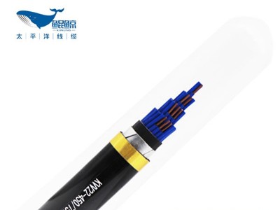 鄭州電纜廠(chǎng)帶你一文了解控制電纜和電力電纜的區別