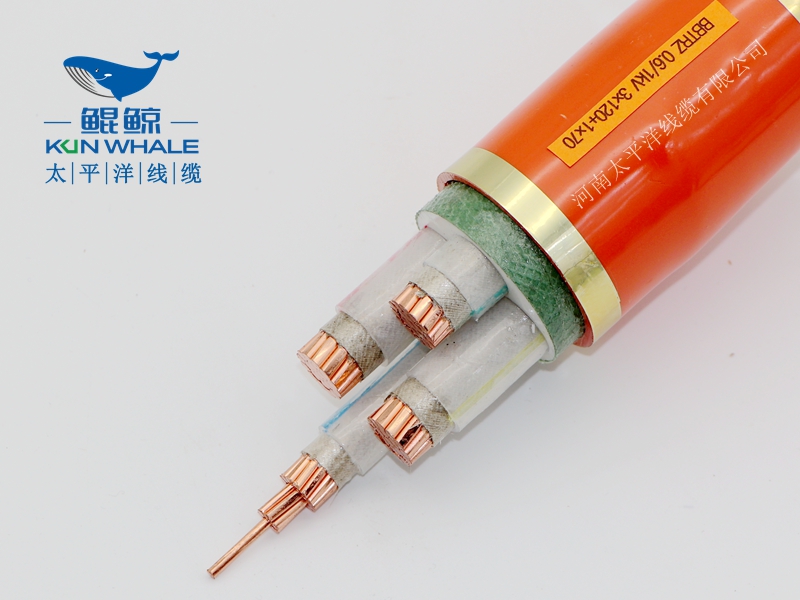 電線(xiàn)電纜廠(chǎng)家淺談什么叫BTTRZ電纜YTTW電纜型號是什么？