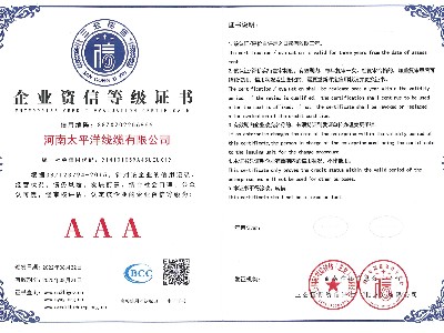 企業(yè)資信等級證書(shū)（1）