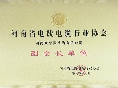 河南省電線(xiàn)電纜行業(yè)協(xié)會(huì )副會(huì )長(cháng)單位